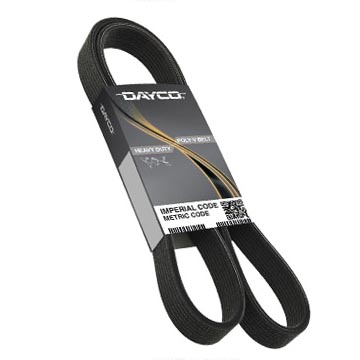 Dayco Poly Rib Belt HD 5100565 - image 1 of 1