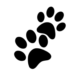 paw prints